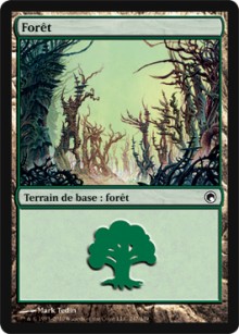 Forêt