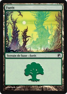 Forêt