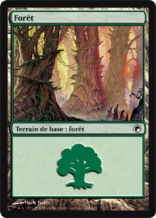 Forêt