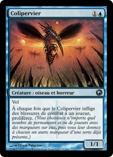 Colipervier