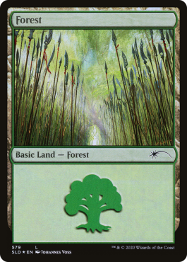 Forêt