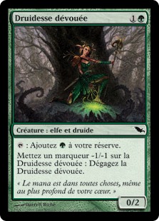 Druidesse dévouée