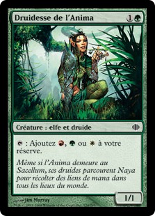 Druidesse de l'Anima