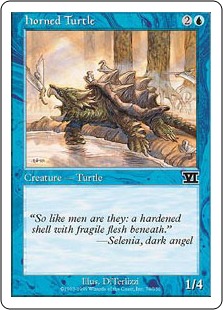 Tortue cornue