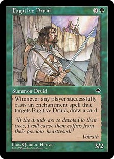Druide fugitif