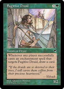 Druide fugitif