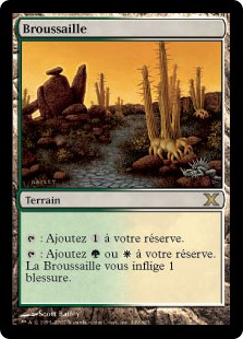 Broussaille