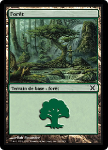 Forêt