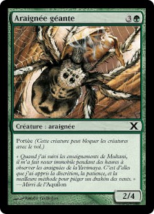 Araignée géante