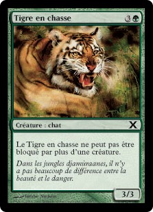 Tigre en chasse