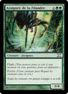 Araignée de la Filandre