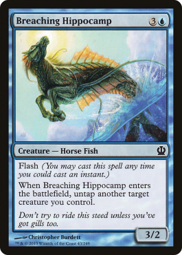 Hippocampe jaillissant