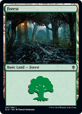 Forêt