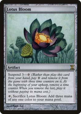 Floraison de lotus