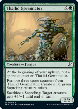 Thallidé germinateur