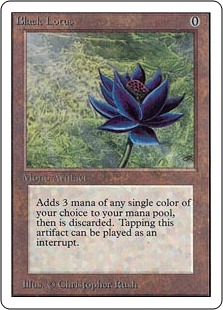 Lotus noir