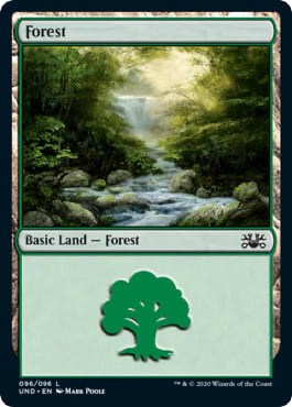 Forêt