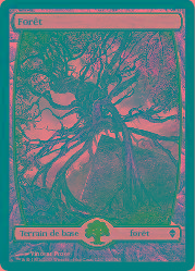 Forêt Textless