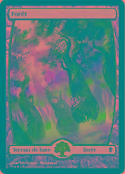 Forêt Textless