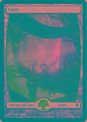 Forêt Textless