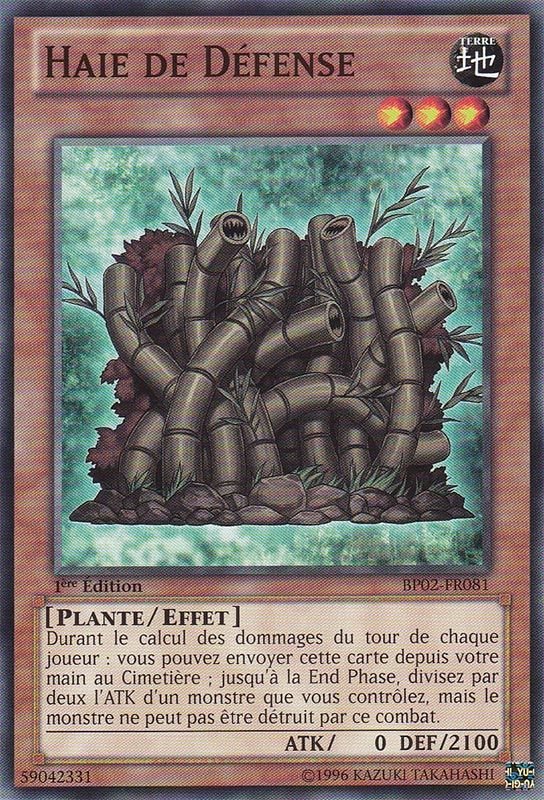 Haie de Défense