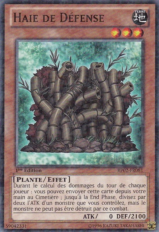 Haie de Défense