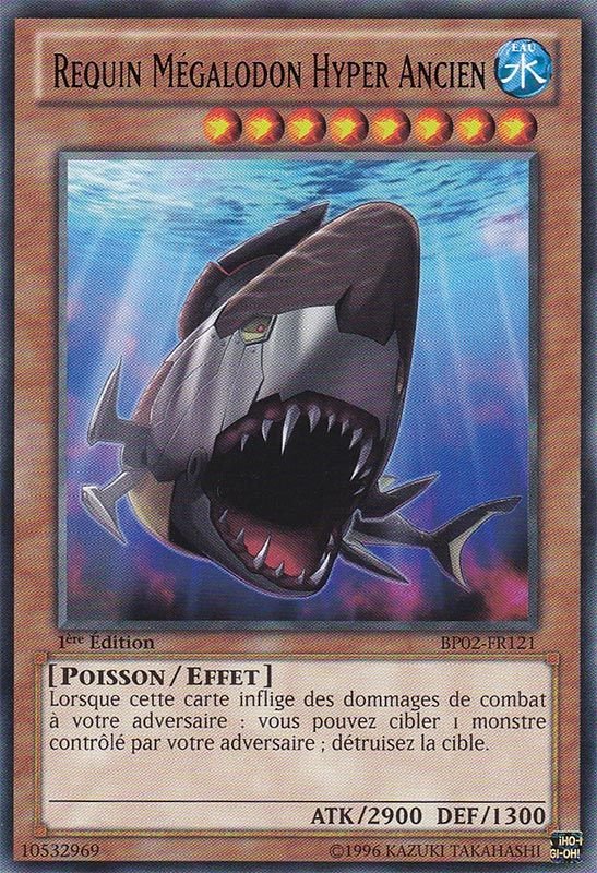 Requin Mégalodon Hyper Ancien