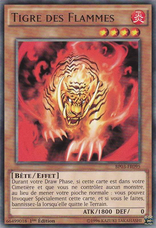 Tigre des Flammes