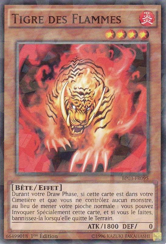 Tigre des Flammes