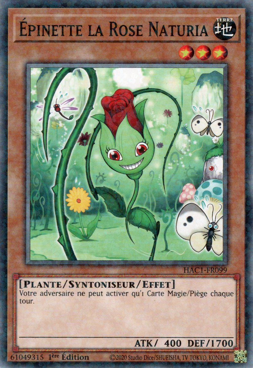 Epinette la Rose Naturia