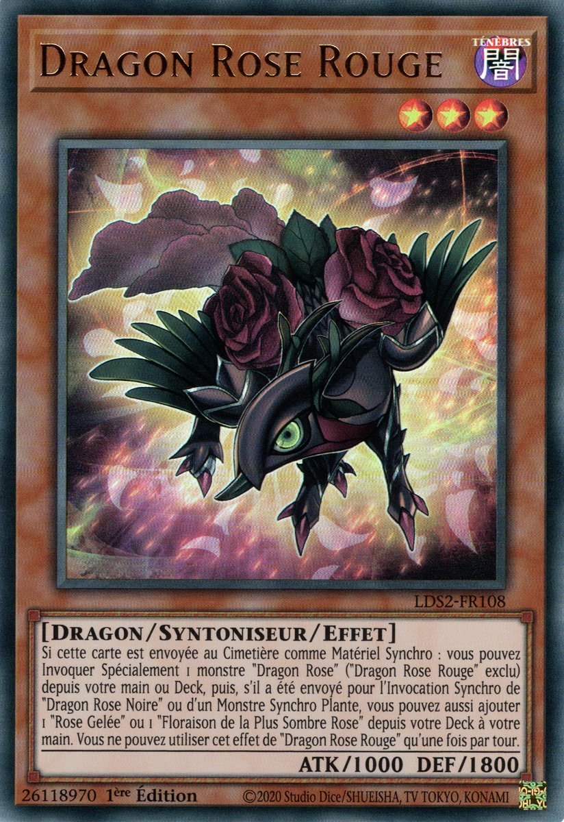 Dragon Rose Rouge