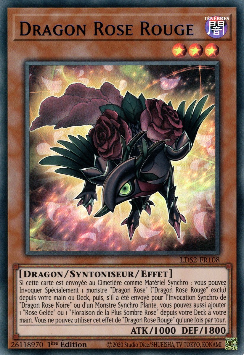 Dragon Rose Rouge