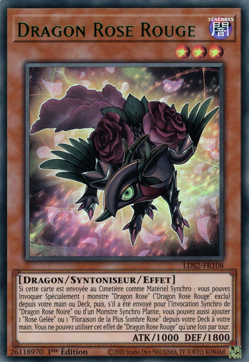 Dragon Rose Rouge