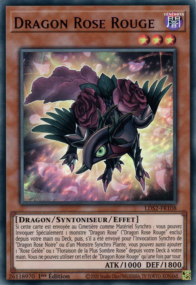 Dragon Rose Rouge