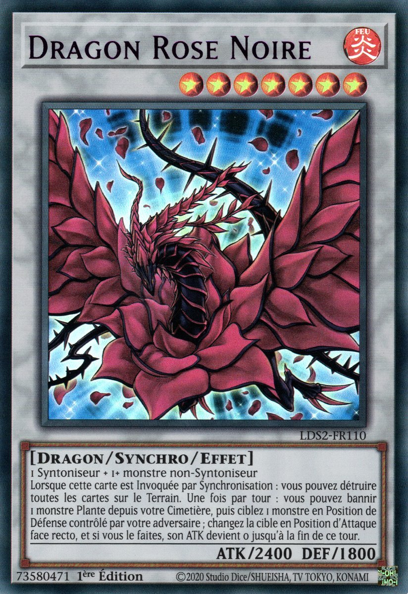 Dragon Rose Noire