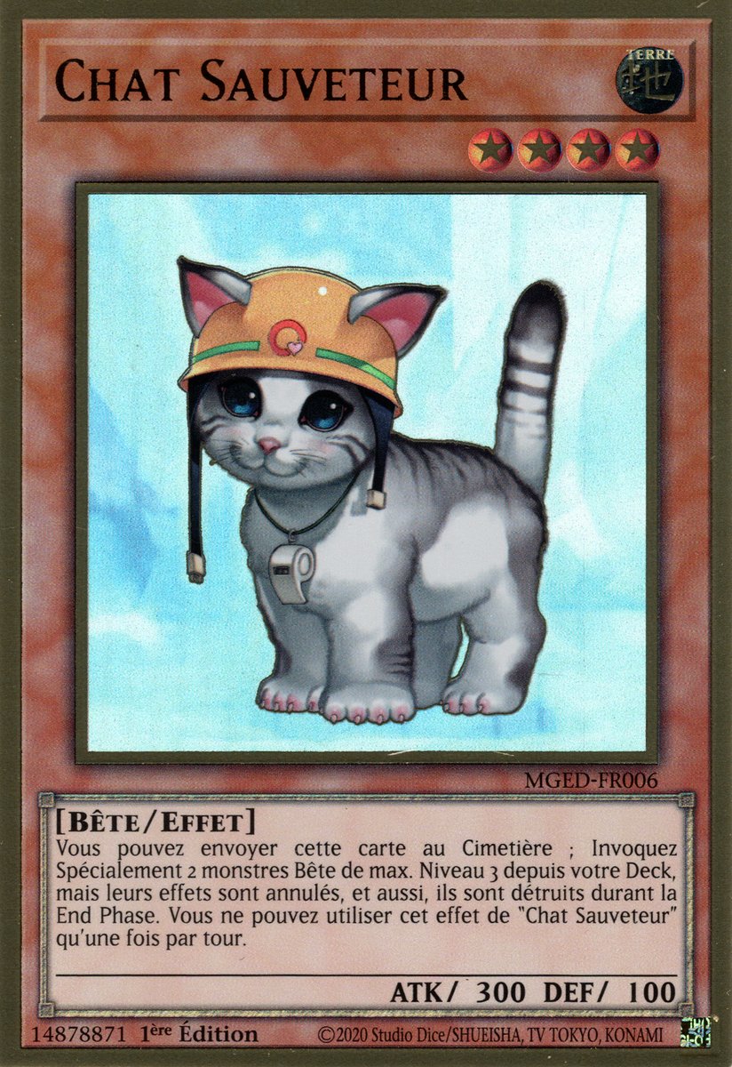 Chat Sauveteur