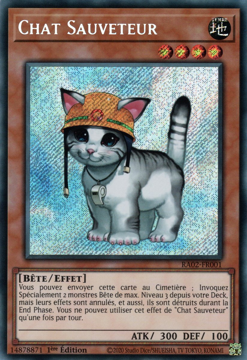 Chat Sauveteur