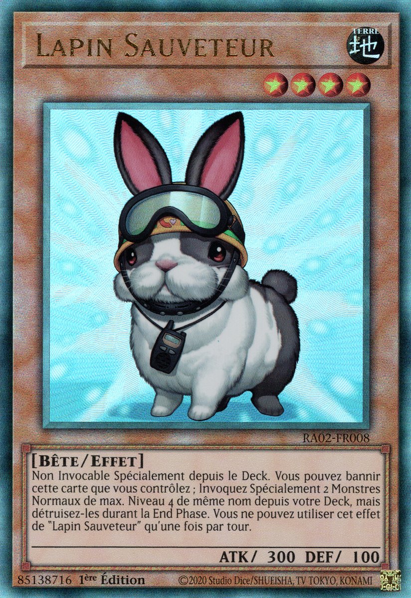 Lapin Sauveteur