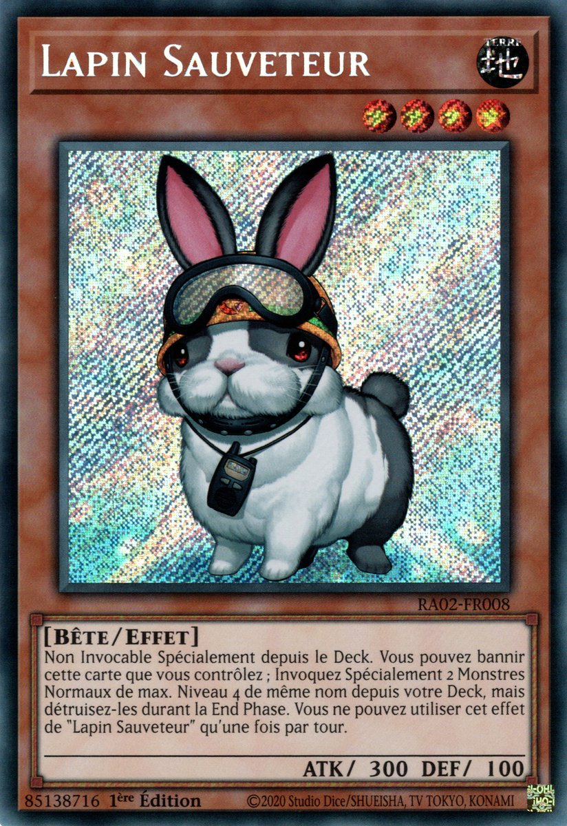 Lapin Sauveteur