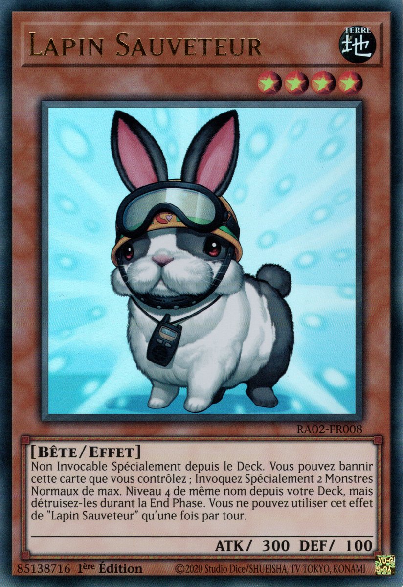 Lapin Sauveteur
