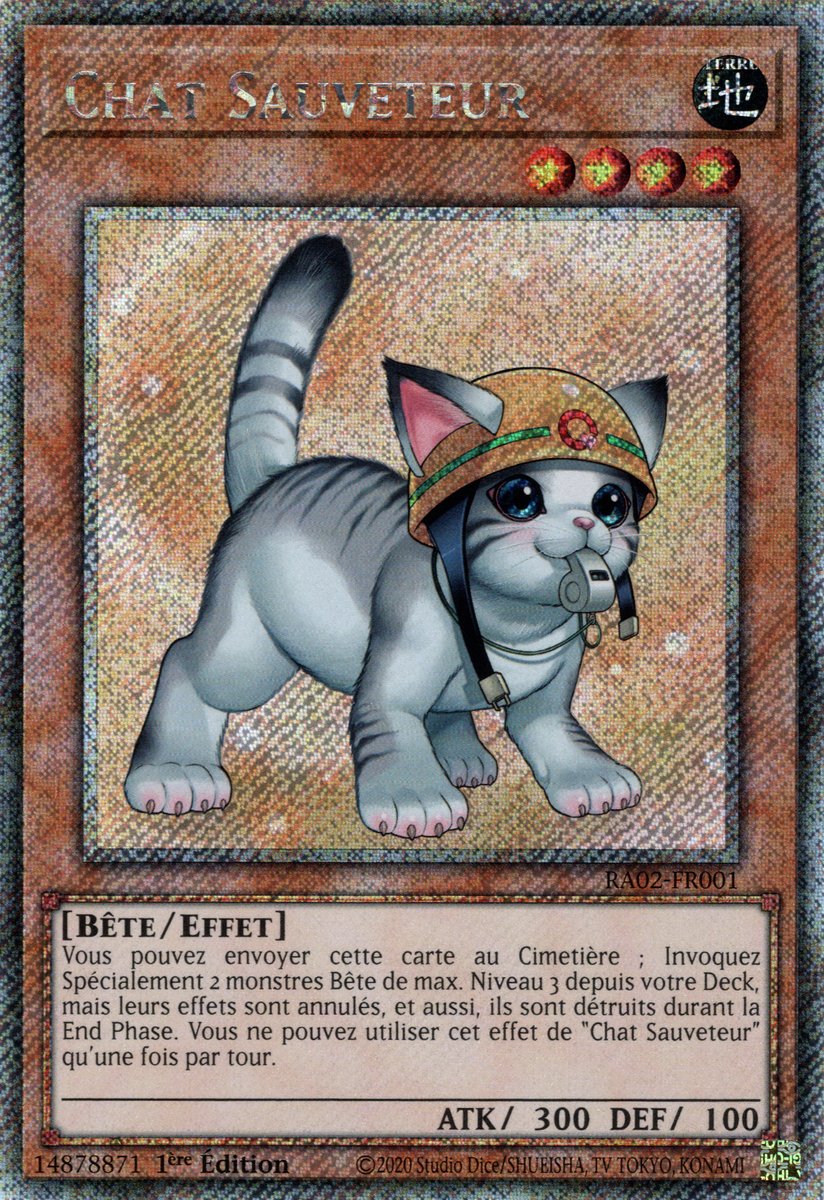 Chat Sauveteur