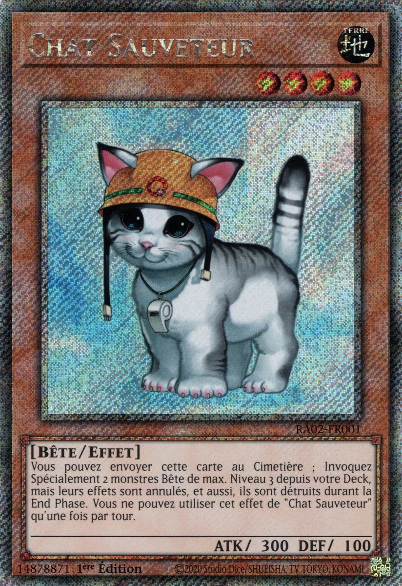 Chat Sauveteur