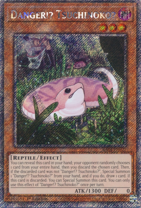 Danger !? Tsuchinoko ?