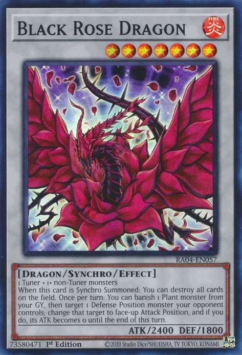 Dragon Rose Noire