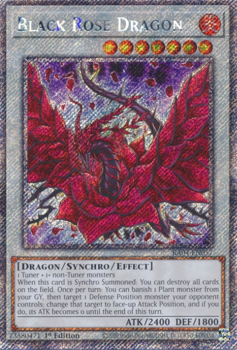 Dragon Rose Noire