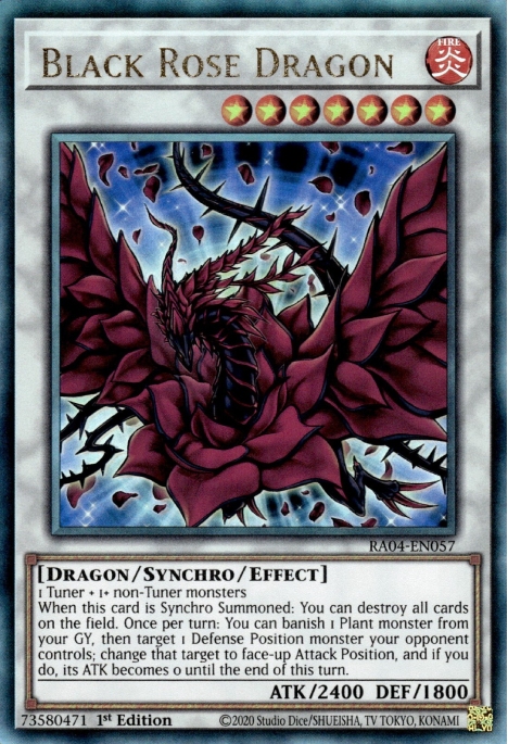 Dragon Rose Noire