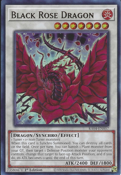 Dragon Rose Noire