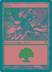 Forêt