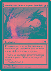 Bénédiction du compagnon bouclier