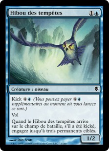 Hibou des tempêtes